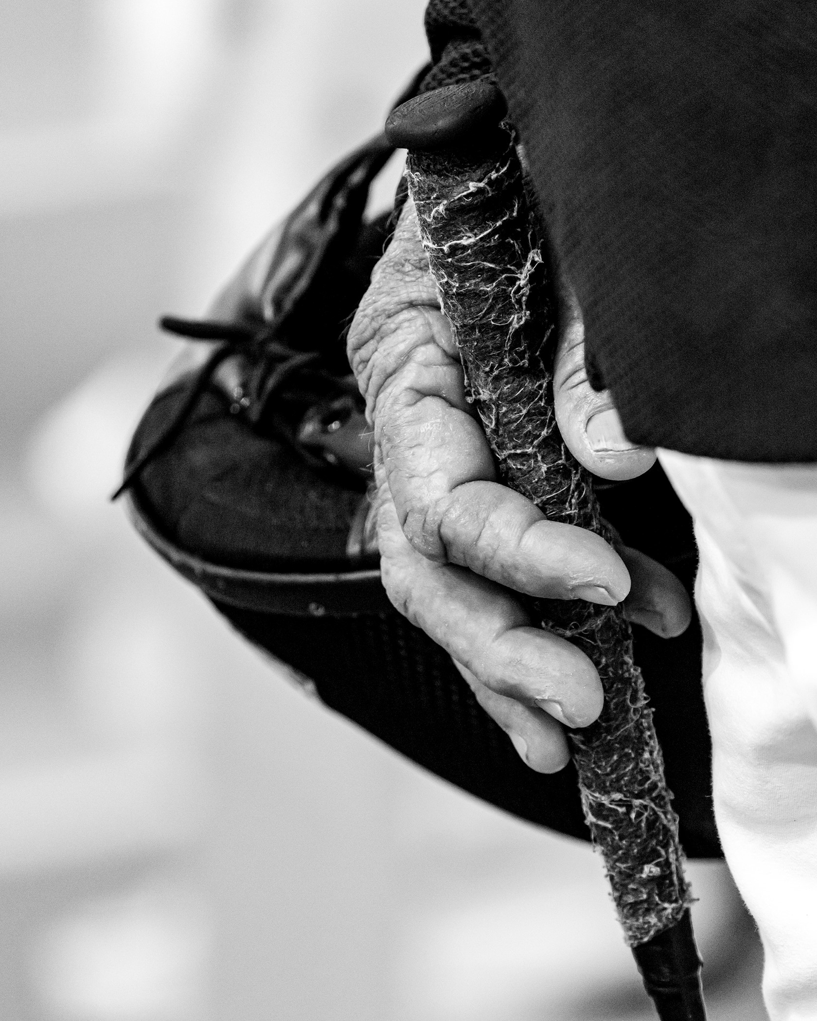 Black-and-white “other” second-place winner, Jockey’s hand, Ocala, Florida