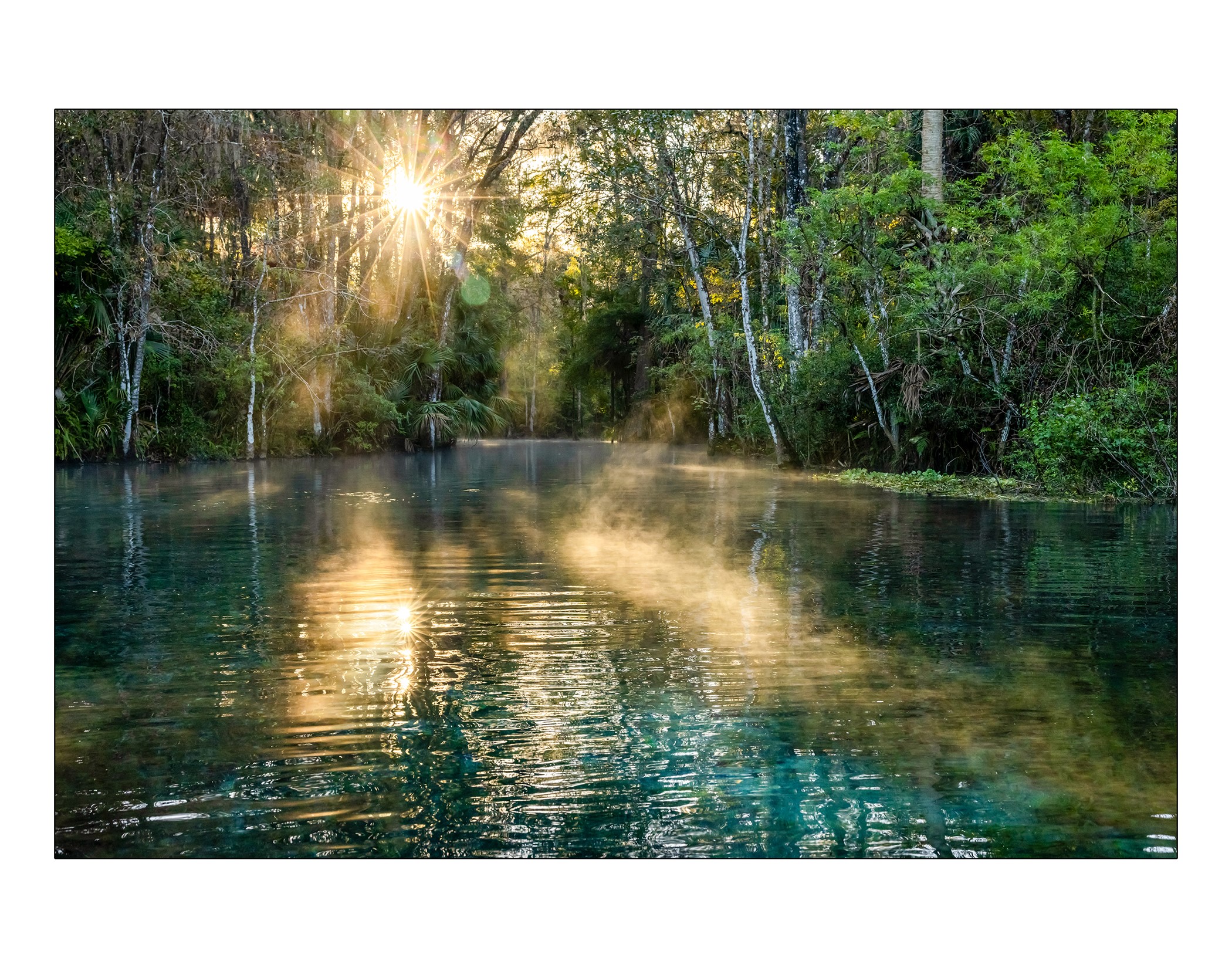 Color landscape second-place winner, Silver Springs, Ocala, Florida
